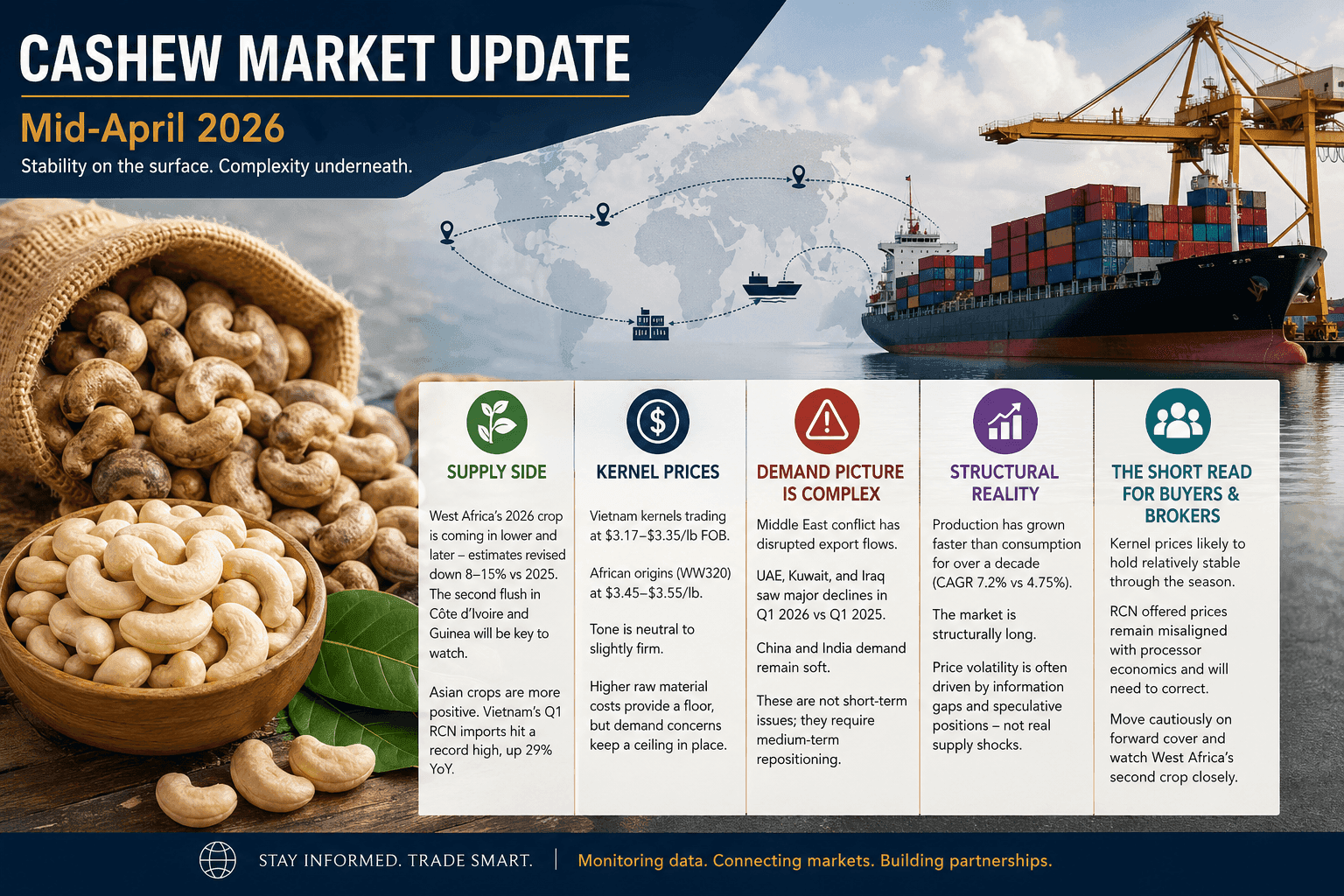 Cashew Market Shows Stability Amid Underlying Uncertainty