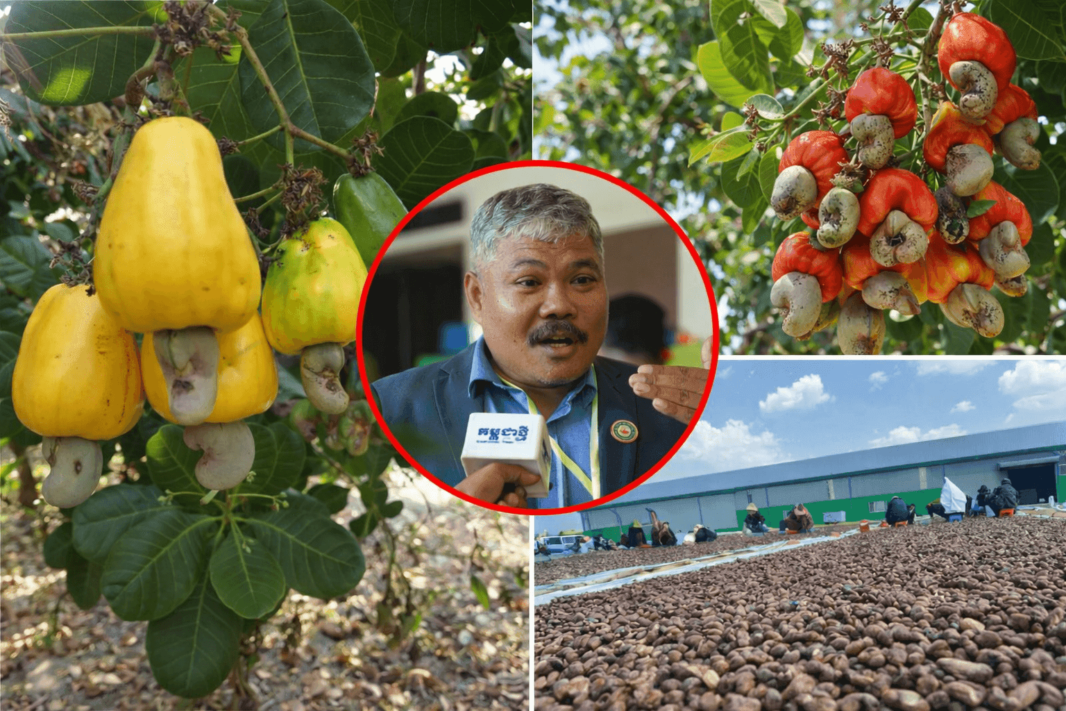Cambodian Agriculture Stakeholders Meet ACIAR 