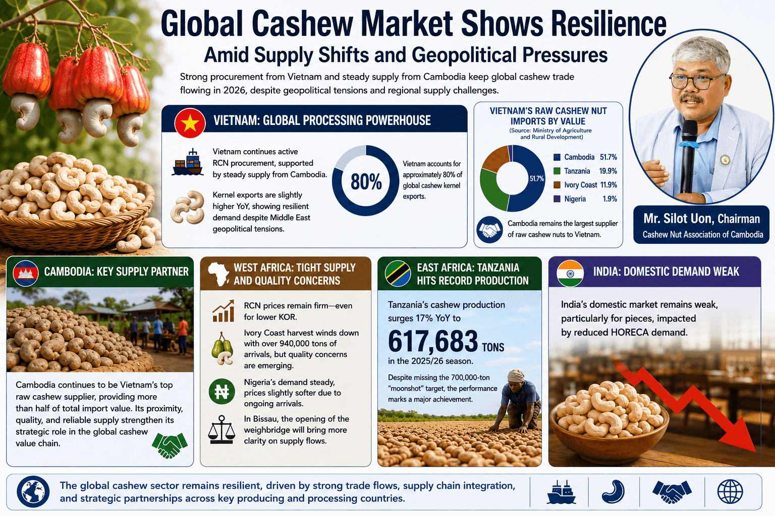 Global Cashew Market Shows Resilience Amid Supply Shifts and Geopolitical Pressures