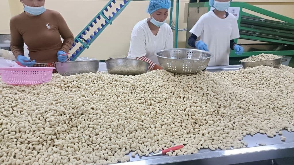 CAC and SDF Seeks Cooperation on Cashew Industry