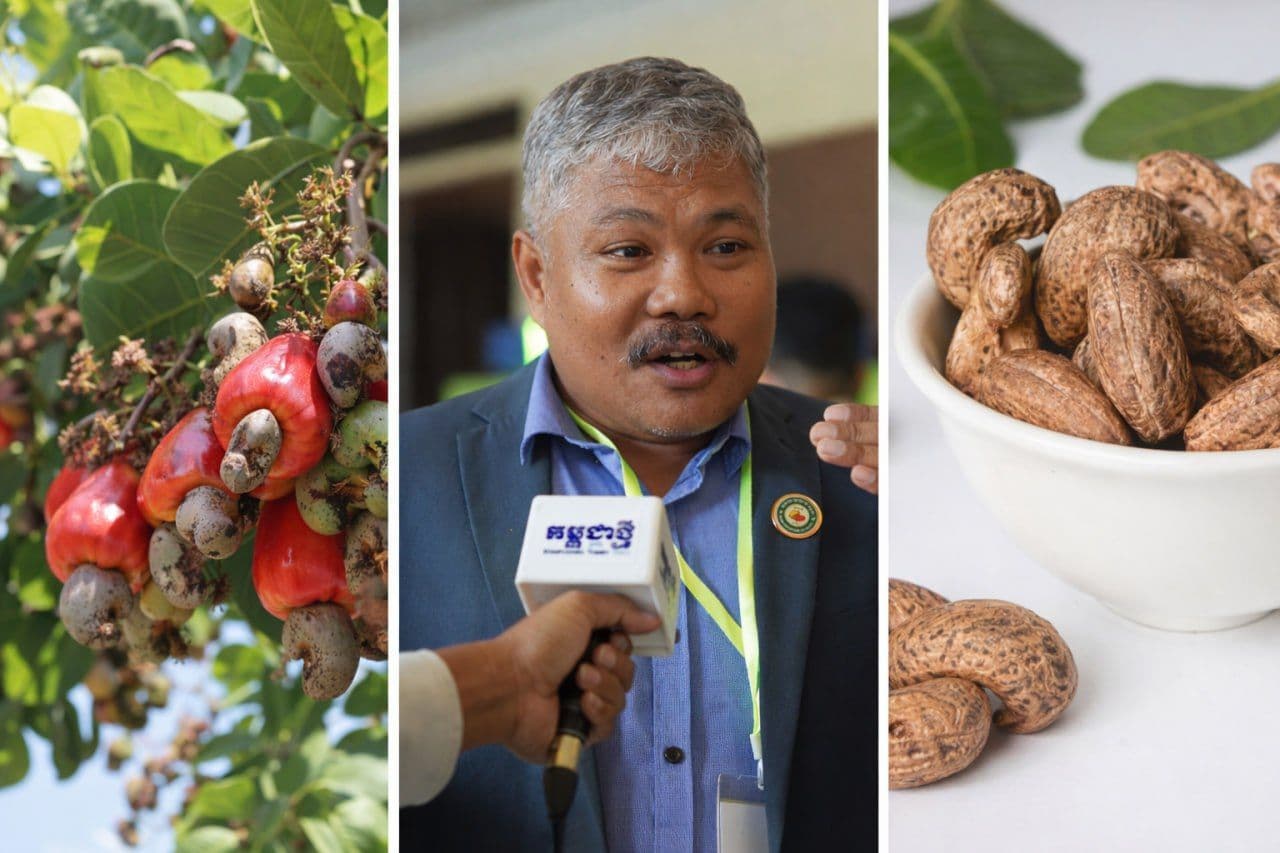 CAC, JETRO to Host Cambodia–Japan Cashew Business Matching in March