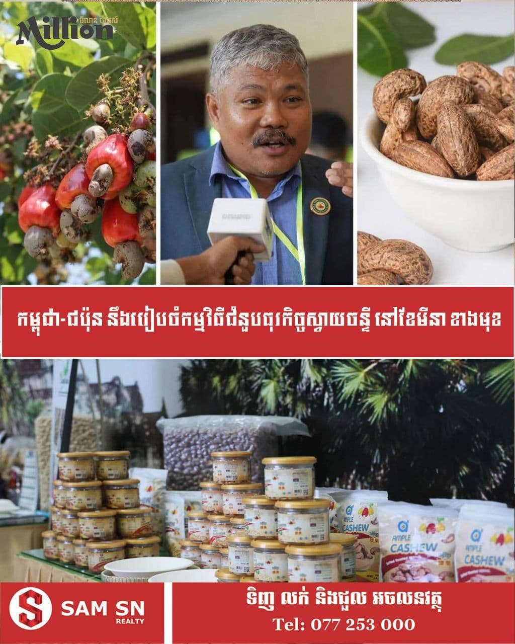 CAC, Mirarth Green Tech Discuss Investment in Cashew Nut Shell Liquid Production