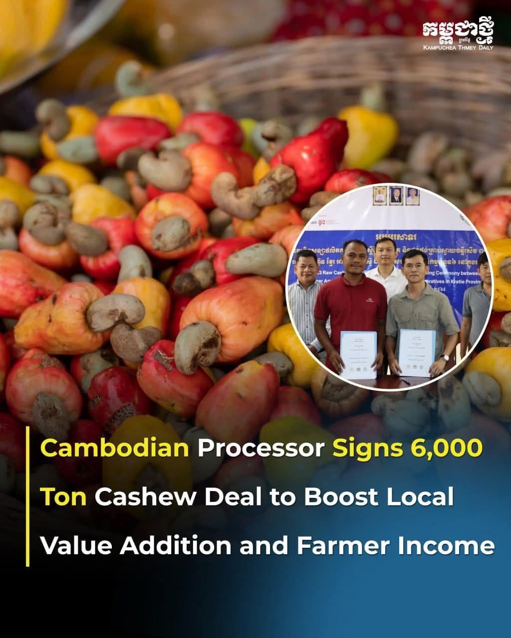 CAC Processor Signs 6,000-Ton Cashew Deal to Boost Local Processing and Farmer Incomes