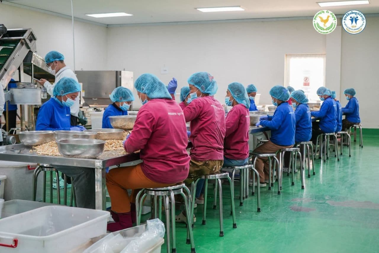 Africa's Cashew Industry Seeks Greater Value Through Local Processing 