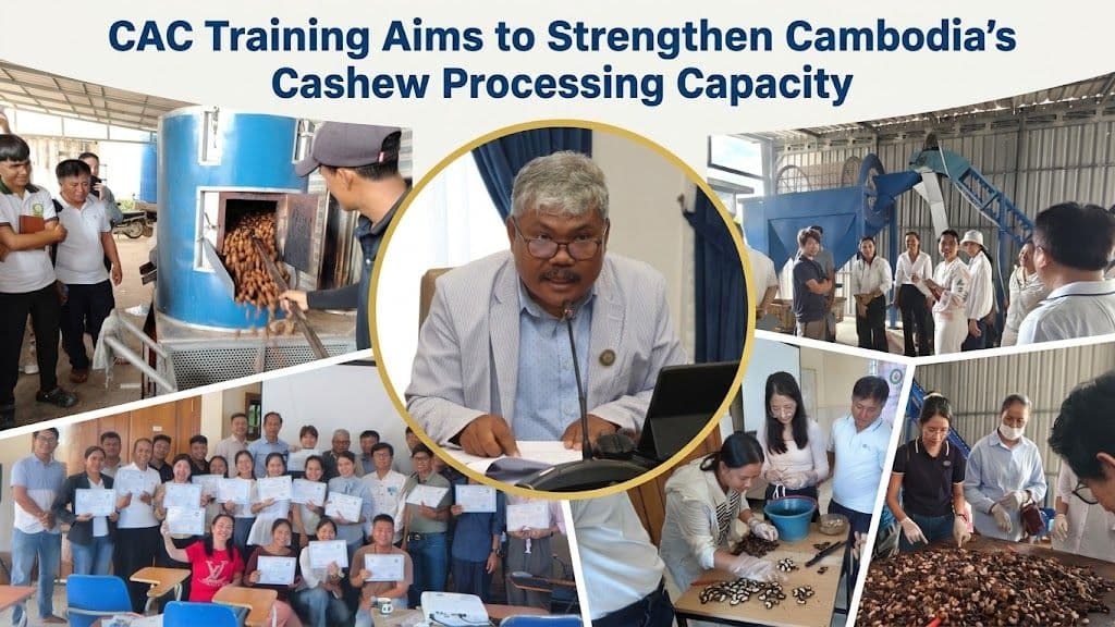 CAC Training Aims to Strengthen Cambodia’s Cashew Processing Capacity