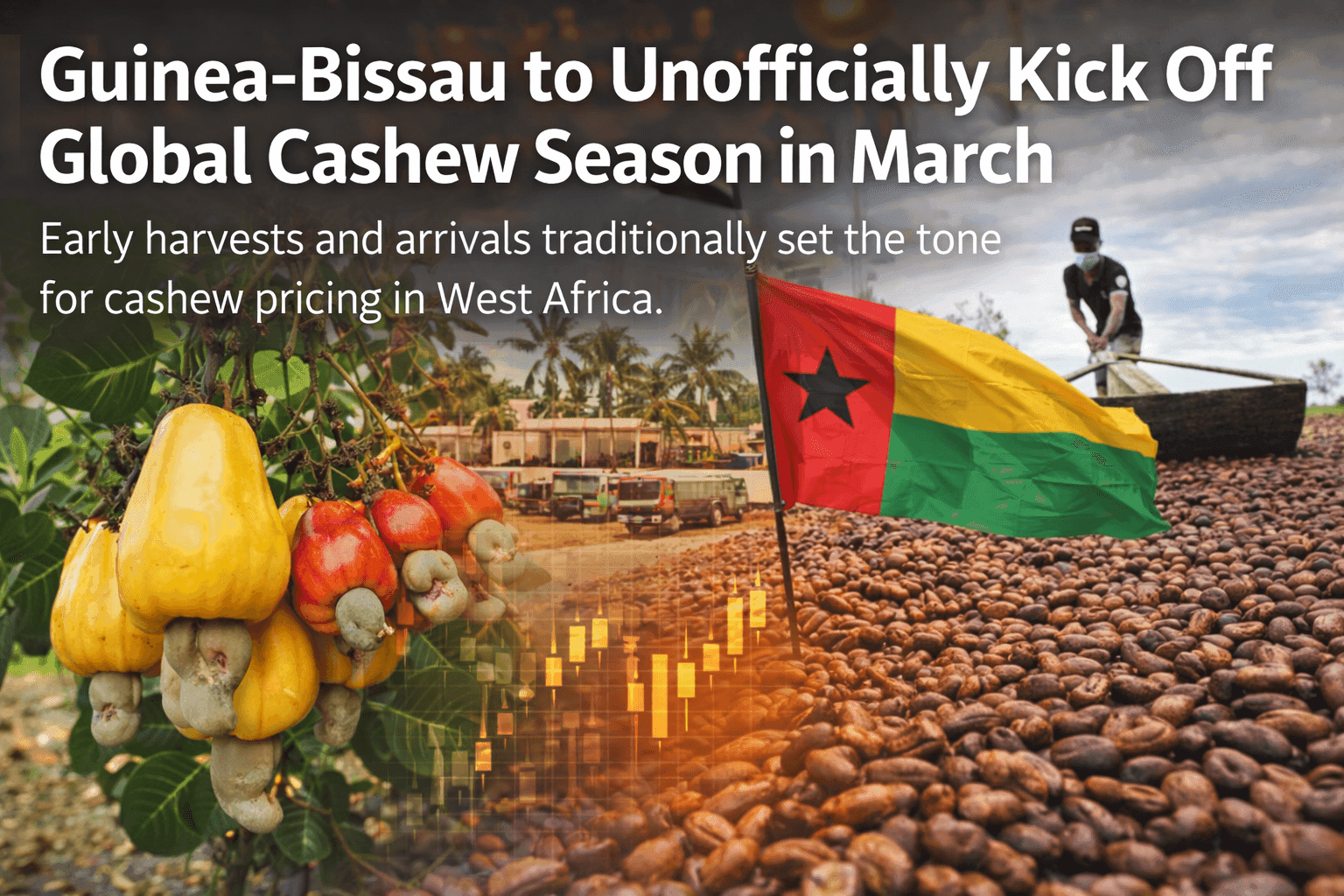 Guinea-Bissau to Unofficially Kick Off Global Cashew Season in March