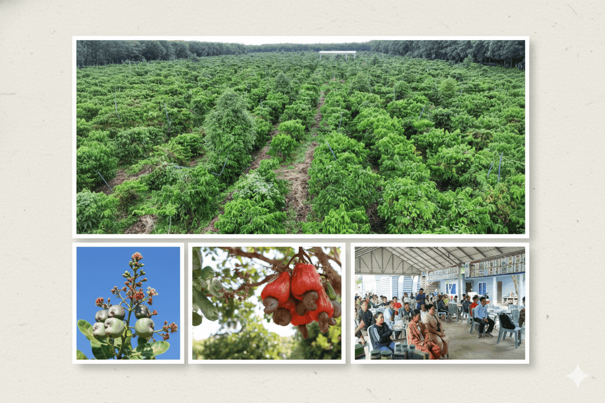 CAC Engages Forestry Administration, Partners on Climate Investment Opportunities