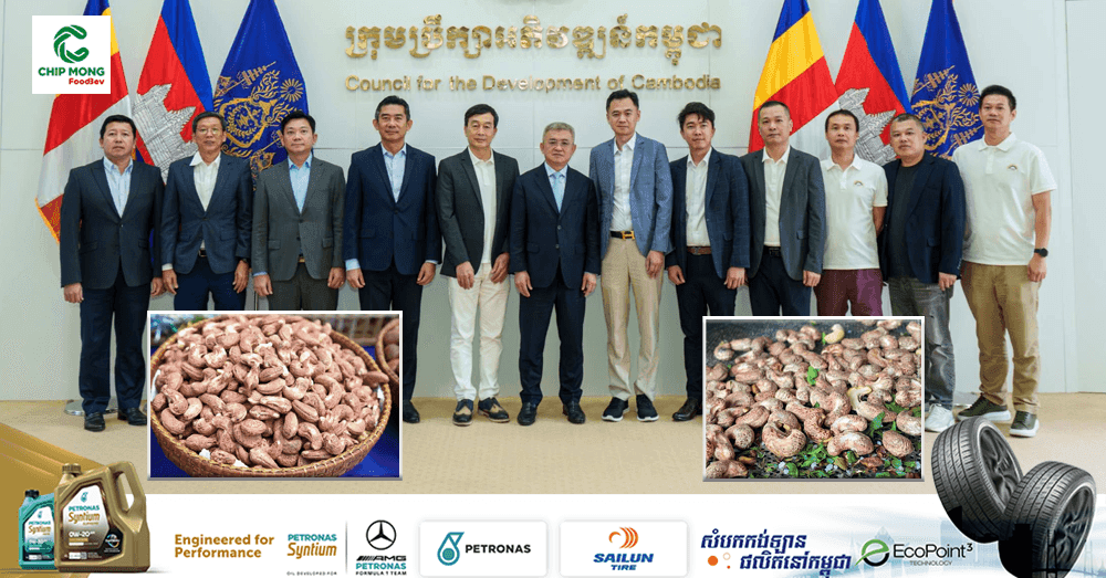 Chinese Grain Supplier With $4 Billion Annual Revenue Explores Cashew Investment in Cambodia