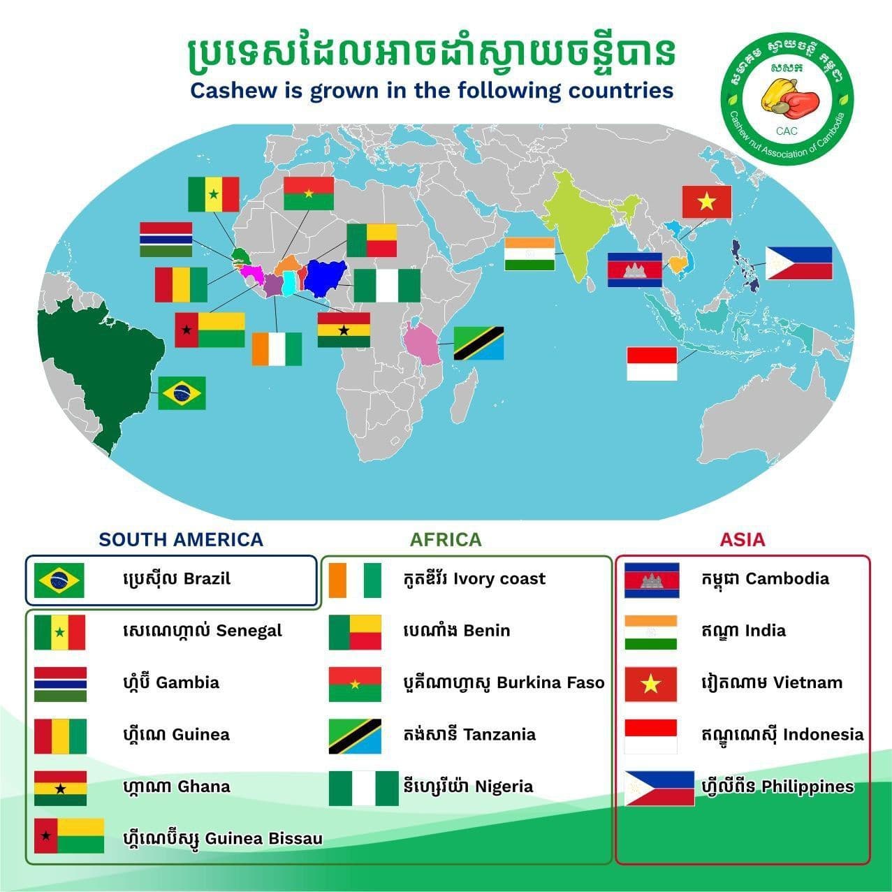 West African Cashew Processing Expands as Governments Push Value Addition