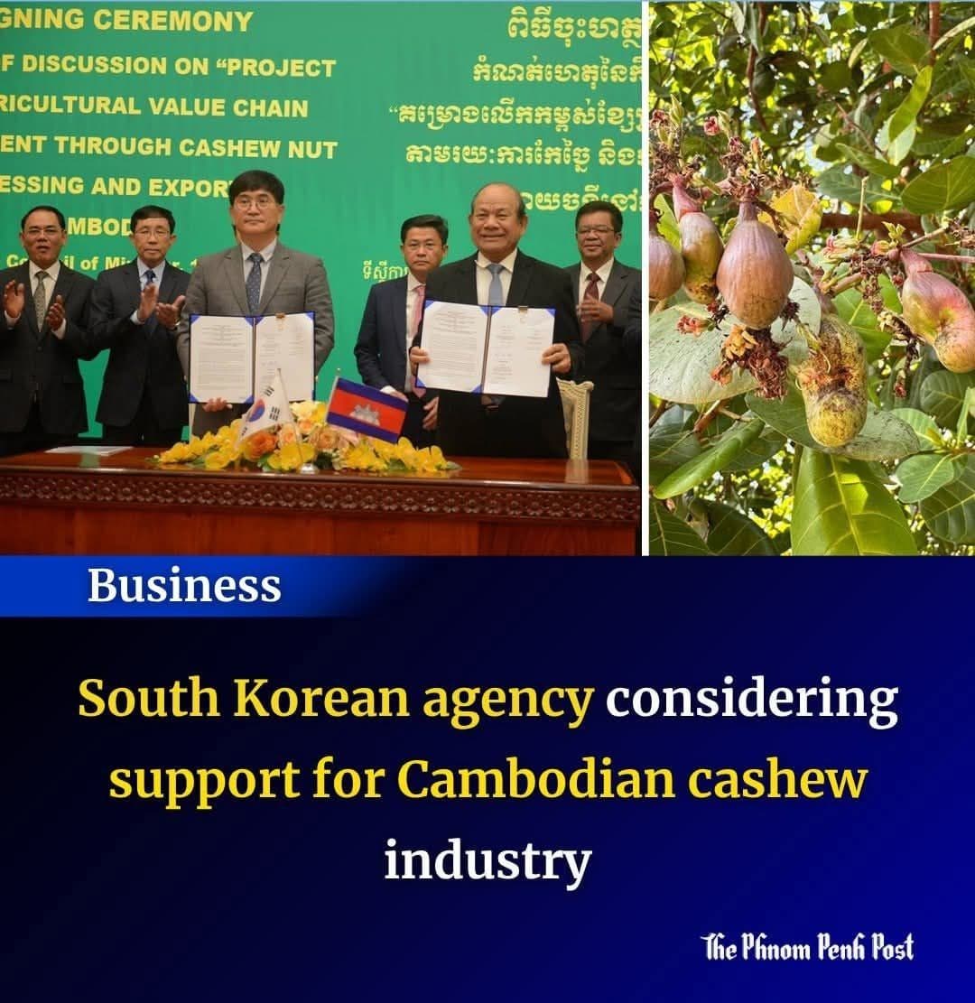 South Korean agency considering support for Cambodian cashew industry