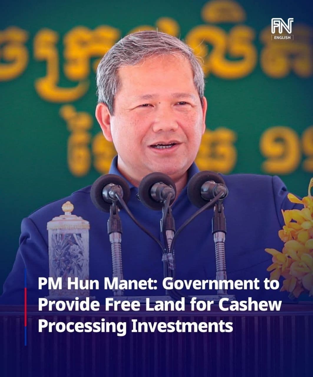 Government to Provide Free Land for Cashew Processing Investment